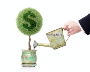 credite-nevoi-personale_Fotor